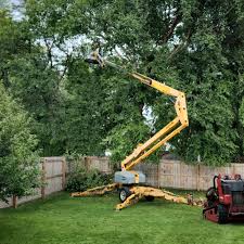 Best Utility Line Clearance  in Porterville, CA