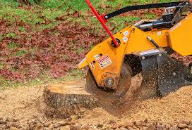 Best Stump Grinding and Removal  in Porterville, CA